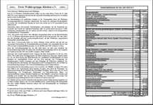 Flyer Gemeindefinanzen (PDF-Format)